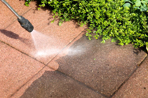 Best Best Pressure Washing Companies  in Elmont, NY